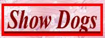 Dogshow Info